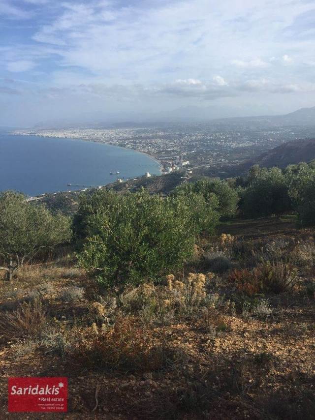 (Προς Πώληση) Αξιοποιήσιμη Γη Οικόπεδο || Ν. Ηρακλείου/Γάζιο - 12.000 τ.μ, 150.000€ 