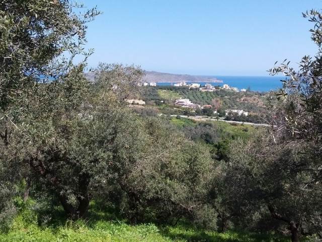 (For Sale) Land Plot out of Settlement || Chania/Nea Kydonia - 5.861 Sq.m, 185.000€ 