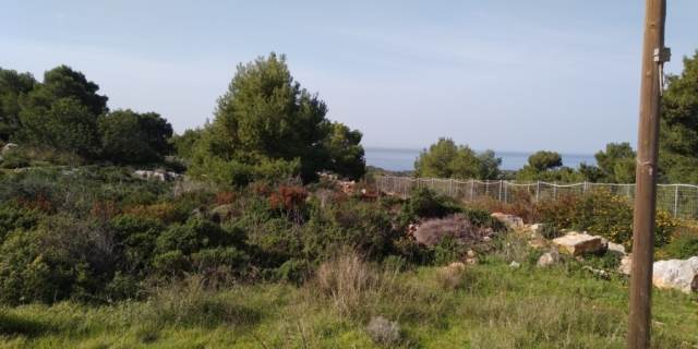 (For Sale) Land Plot || Chania/Akrotiri - 5.900 Sq.m, 180.000€ 