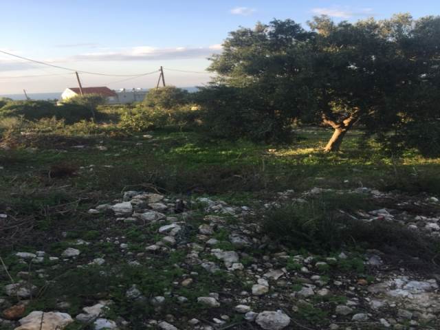 (For Sale) Land Agricultural Land  || Chania/Akrotiri - 1.200 Sq.m, 25.000€ 