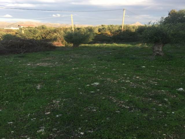 (For Sale) Land Agricultural Land  || Chania/Akrotiri - 5.700 Sq.m, 250.000€ 