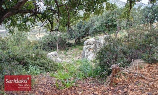 (For Sale) Land Plot || Rethymno/Geropotamos - 4.300 Sq.m, 132.000€ 