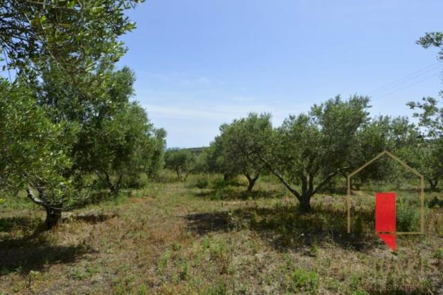 (For Sale) Land Plot || Chania/Platanias - 2.370 Sq.m, 65.000€ 