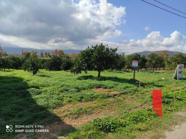 (Προς Πώληση) Αξιοποιήσιμη Γη Οικόπεδο || Ν. Χανίων/Θέρισος - 1.854 τ.μ, 143.000€ 