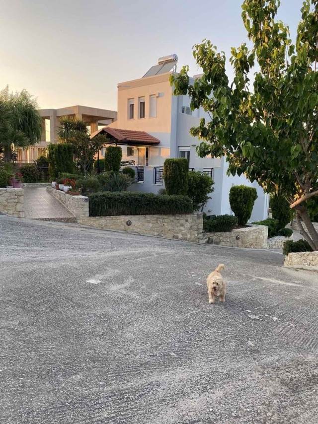 (Προς Πώληση) Κατοικία Συγκρότημα κατοικιών || Ν. Ρεθύμνου/Ρέθυμνο - 650 τ.μ, 1.600.000€ 