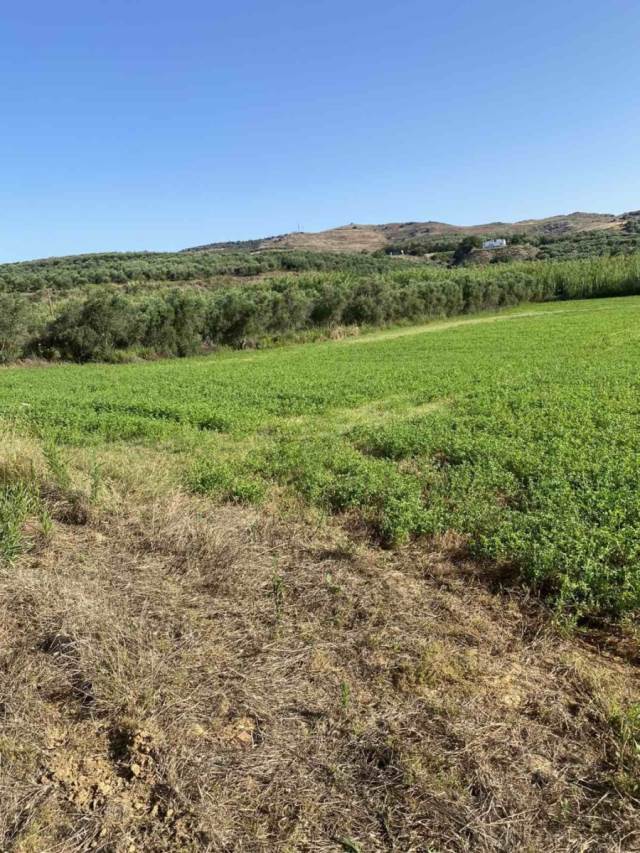 (Προς Πώληση) Αξιοποιήσιμη Γη Κτήμα || Ν. Ρεθύμνου/Γεροπόταμος - 20.000 τ.μ, 200.000€ 