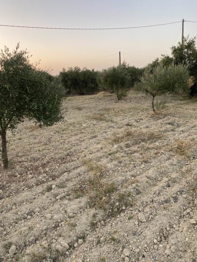 (For Sale) Land Plot || Rethymno/Arkadi - 1.000 Sq.m, 90.000€ 