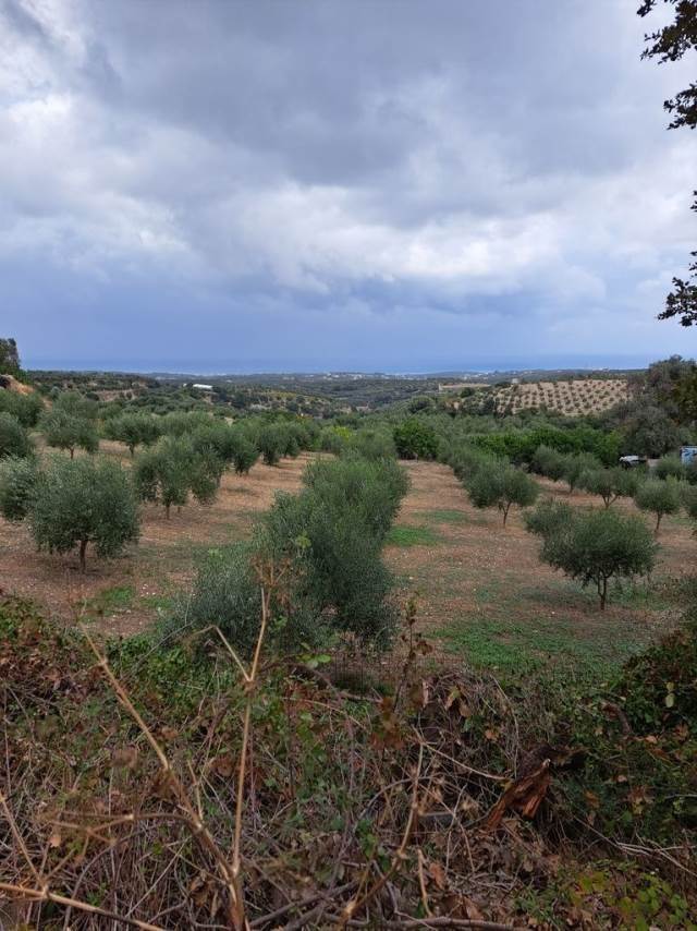 (Προς Πώληση) Αξιοποιήσιμη Γη Οικόπεδο || Ν. Ρεθύμνου/Αρκάδι - 1.559 τ.μ, 75.000€ 