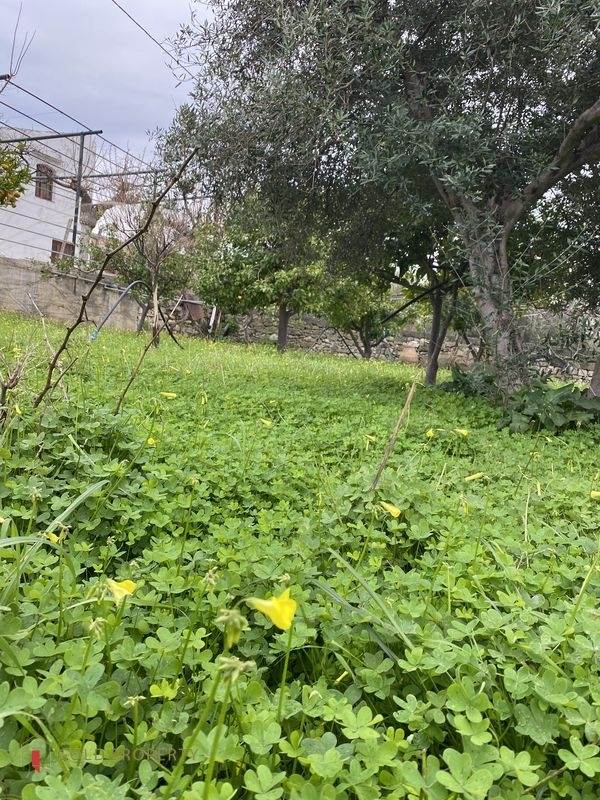 (For Sale) Land Plot out of City plans || Rethymno/Lappa - 1.500 Sq.m, 180.000€ 
