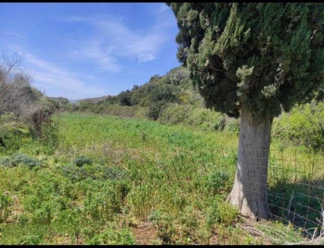 (Προς Πώληση) Αξιοποιήσιμη Γη Οικόπεδο || Ν. Ρεθύμνου/Γεροπόταμος - 8.432 τ.μ, 180.000€ 