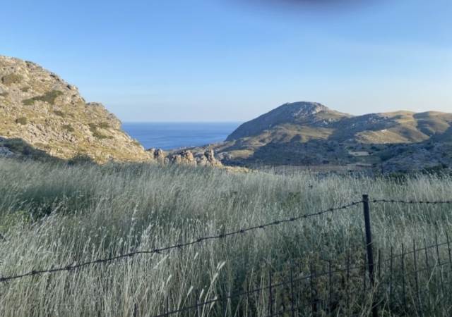 (Προς Πώληση) Αξιοποιήσιμη Γη Οικόπεδο || Ν. Ρεθύμνου/Ρέθυμνο - 35.000 τ.μ, 120.000€ 
