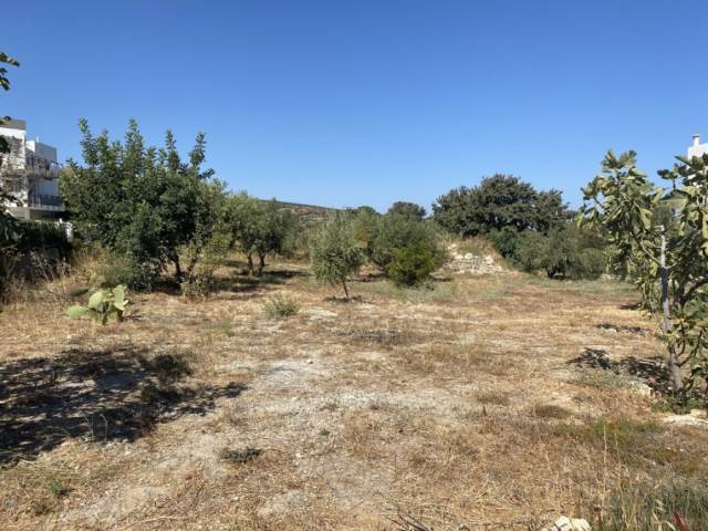 (For Sale) Land Plot || Rethymno/Rethymno - 1.000 Sq.m, 95.000€ 