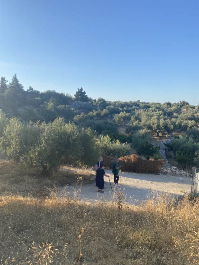 (For Sale) Land Plot || Chania/Vamos - 3.653 Sq.m, 80.000€ 