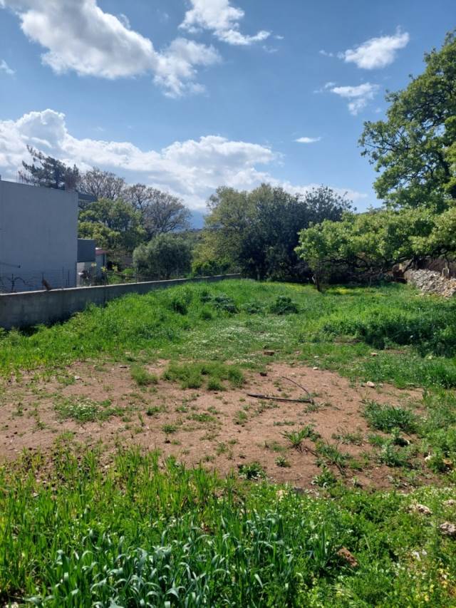 (Προς Πώληση) Αξιοποιήσιμη Γη Οικόπεδο || Ν. Ρεθύμνου/Νικηφόρος Φωκάς - 200 τ.μ, 47.000€ 