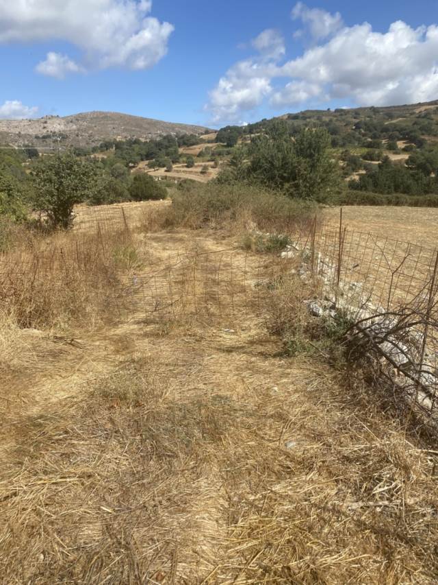 (Προς Πώληση) Αξιοποιήσιμη Γη Οικόπεδο || Ν. Ρεθύμνου/Φοίνικας - 2.868 τ.μ, 50.000€ 