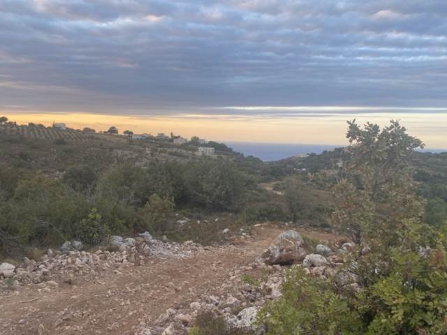 (Προς Πώληση) Αξιοποιήσιμη Γη Οικόπεδο || Ν. Ρεθύμνου/Ρέθυμνο - 1.000 τ.μ, 100.000€ 